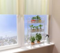 Ладья 13_СЕР_ балкон